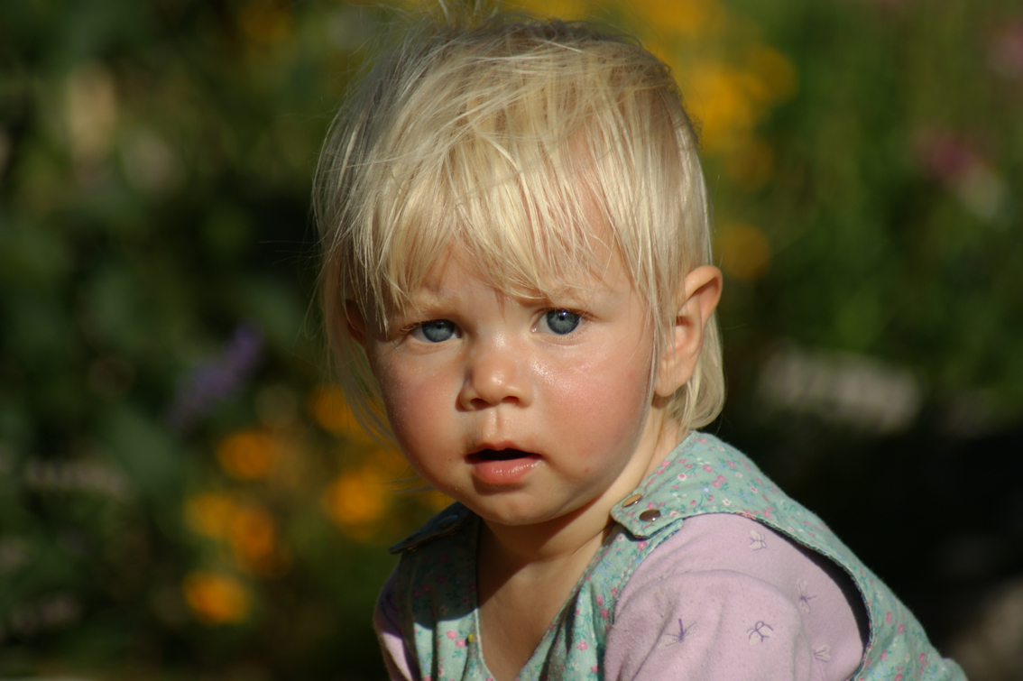 Kinder